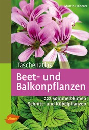 Beet- und Balkonpflanzen - 222 Sommerblumen, Kübelpflanzen und Schnittpflanzen