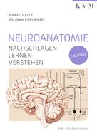 Markus Kipp: Neuroanatomie 