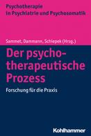 Isa Sammet: Der psychotherapeutische Prozess 