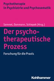 Der psychotherapeutische Prozess - Forschung für die Praxis