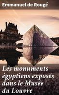 Emmanuel de Rougé: Les monuments égyptiens exposés dans le Musée du Louvre 
