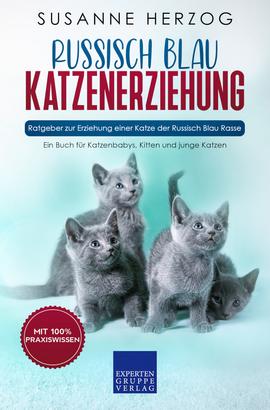 Russisch Blau Katzenerziehung - Ratgeber zur Erziehung einer Katze der Russisch Blau Rasse