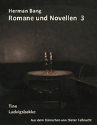 Dieter Faßnacht: Herman Bang Romane und Novellen Band 3 