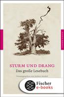 Jochen Strobel: Sturm und Drang 