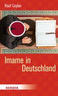 Rauf Ceylan: Imame in Deutschland 