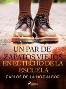 Carlos Adolfo De La Hoz Albor: Un par de zapatos viejos en el techo de la escuela 