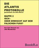 Jimi Wunderlich: Atlantis-Protokolle Mappe 2 