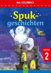 Spukgeschichten - Mein Leselernbuch: Lesestufe 2