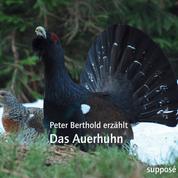 Das Auerhuhn - Peter Berthold erzählt