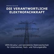 Die Verantwortliche Elektrofachkraft - VEFK-Struktur und Betriebliche Elektrosicherheit für Unternehmer, Fach und Führungskräfte