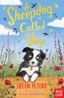 Helen Peters: A Sheepdog Called Sky 
