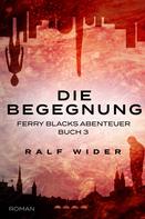 Ralf Wider: Die Begegnung 