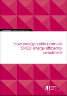 European Investment Bank: EIB Working Papers 2019/02 - How energy audits promote SMEs' energy efficiency investment 