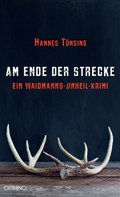 Hannes Tönsing: Am Ende der Strecke 