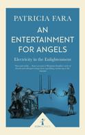 Patricia Fara: An Entertainment for Angels (Icon Science) 