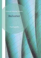 Christoph Sebastian Widdau: Baluster 