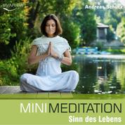 Mini Meditation - Sinn des Lebens - Entspannung, Abbau von Stress & Selbsterkenntnis