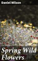 Daniel Wilson: Spring Wild Flowers 