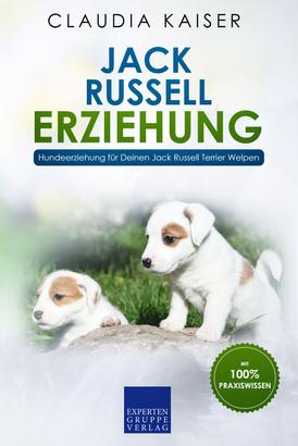 Jack Russell Erziehung: Hundeerziehung für Deinen Jack Russell Terrier Welpen