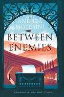 Andrea Molesini: Between Enemies 