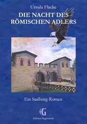 Die Nacht des römischen Adlers - Ein Saalburg-Roman