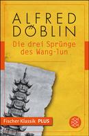 Alfred Döblin: Die drei Sprünge des Wang-lun 