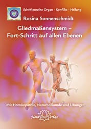 Gliedmaßensystem - Fort-Schritt auf allen Ebenen - Band 11: Schriftenreihe Organ - Konflikt - Heilung Mit Homöopathie, Naturheilkunde und Übungen