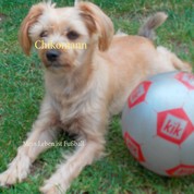 Chikomann - Mein Leben ist Fußball