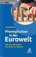 Jörg Rieger: Der Pfennigfuchser in der Eurowelt ★