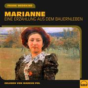 Marianne - Eine Erzählung aus dem Bauernleben