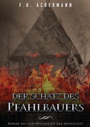Der Schatz des Pfahlbauers - Roman aus den Wildnissen der Bronzezeit
