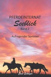 Pferdeinternat Seeblick Band 2 - Aufregender Sommer
