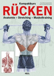 Kompaktkurs Rücken - Anatomie - Stretching - Muskeltraining