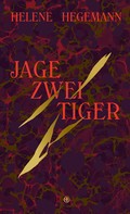 Helene Hegemann: Jage zwei Tiger ★★★★