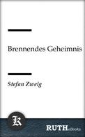Stefan Zweig: Brennendes Geheimnis 