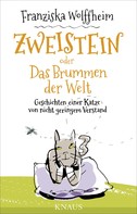 Franziska Wolffheim: Zweistein oder Das Brummen der Welt ★★★★