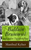 Manfred Kyber: Balduin Brummsel und andere Tiergeschichten 
