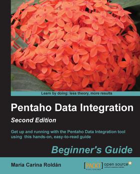 Pentaho Data Integration Beginner's Guide