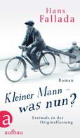 Hans Fallada: Kleiner Mann – was nun? ★★★★