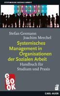 Joachim Merchel: Systemisches Management in Organisationen der Sozialen Arbeit 