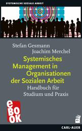 Systemisches Management in Organisationen der Sozialen Arbeit - Handbuch für Studium und Praxis