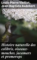 Louis-Pierre Vieillot: Histoire naturelle des colibris, oiseaux-mouches, jacamars et promerops 