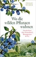 Ewald Weber: Wo die wilden Pflanzen wohnen ★★★★★