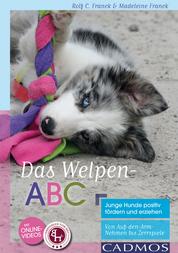 Das Welpen-ABC - Junge Hunde positiv fördern und erziehen - Von Auf-den-Arm-Nehmen bis Zerrspiele