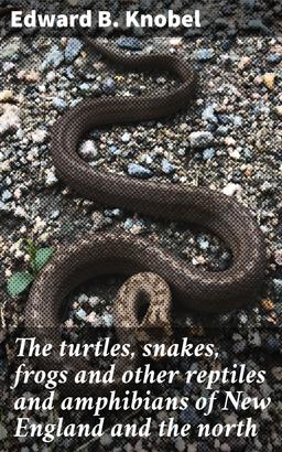 The turtles, snakes, frogs and other reptiles and amphibians of New England and the north