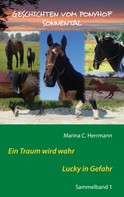 Marina C. Herrmann: Geschichten vom Ponyhof Sonnental ★★★