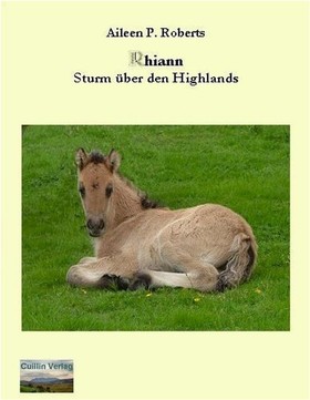 Rhiann - Sturm über den Highlands