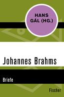 Hans Gál: Johannes Brahms 