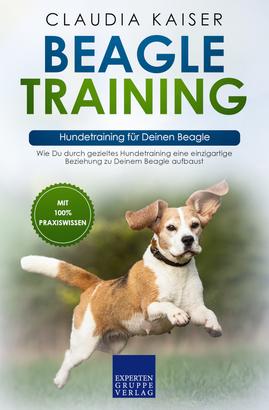 Beagle Training – Hundetraining für Deinen Beagle