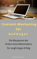 André Sternberg: Content-Marketing für Anfänger 
